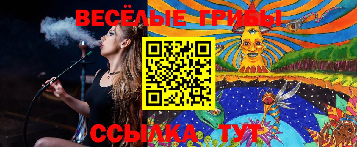 Псилоцибиновые грибы мицелий  Вход с VPN  Большой Камень 