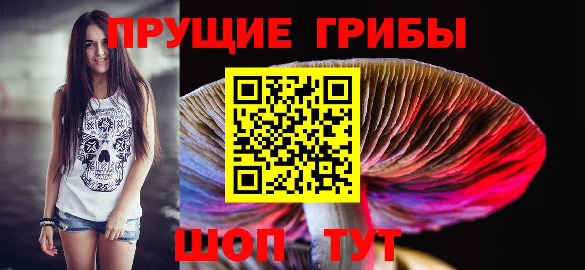 Галлюциногенные грибы прущие грибы Большой Камень
